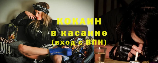 стаф Алексин