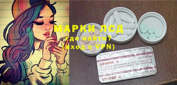 стаф Алексин