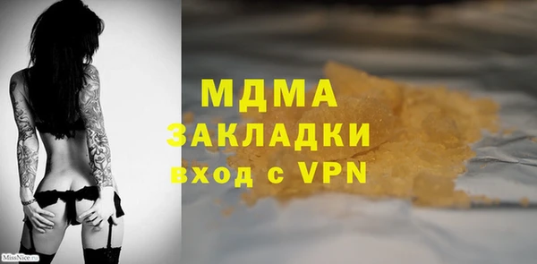 стаф Алексин