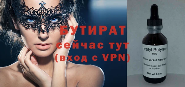 стаф Алексин